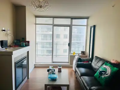 Beautiful 2 BDRM 2 bathroom Condo With Water View in downtown Ne