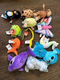 Toys and Stuffies