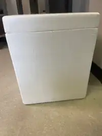 Free large styrofoam coolers