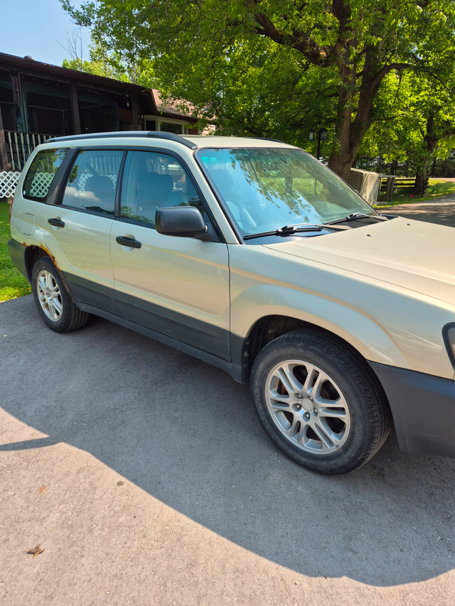 Subaru Forester WELL priced in Cars & Trucks in Mississauga / Peel Region - Image 2