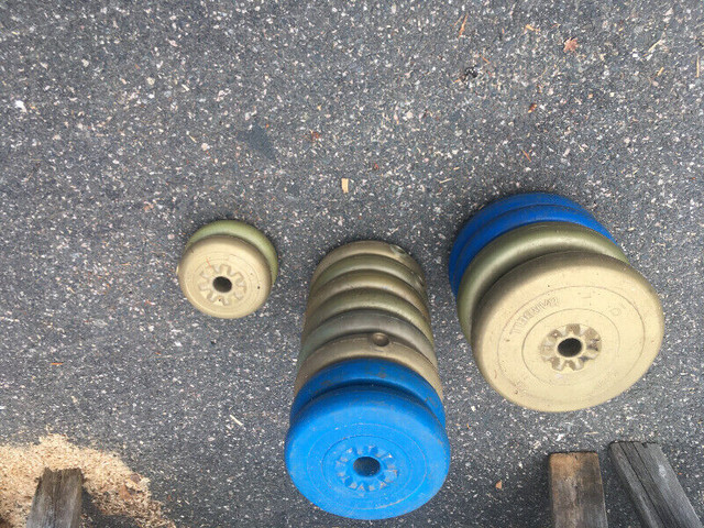 Barbell Weights in Exercise Equipment in St. John's - Image 2