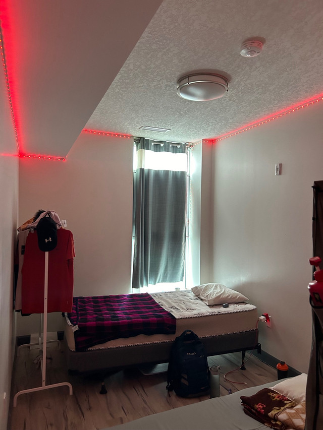 Looking for roommate - $460 in Room Rentals & Roommates in Kitchener / Waterloo