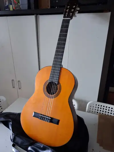 Aria AK100 Classical Guitar, View more