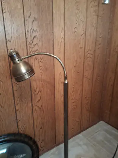 Antique brass adjustable Gooseneck Floor Lamp, View more