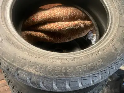 Decent snow tires no rims 205/55R16 Brad. Cell text 7054408648