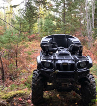 Yamaha Grizzly 660 SE