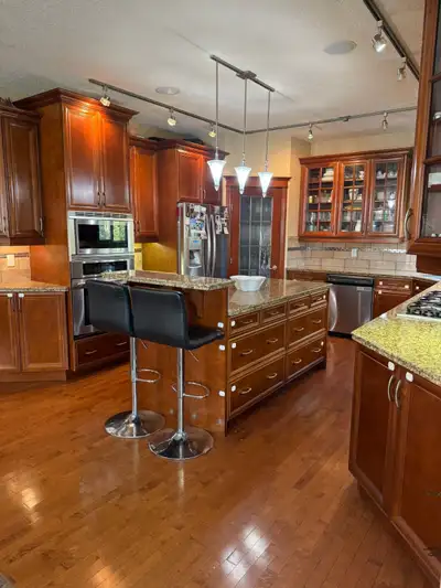 3 Bed 4 Bath Luxury Home in Royal Oak for Rent