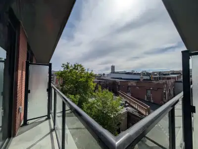 Downtown Kingston 1 Bed + Den | All-Inclusive w/ Internet