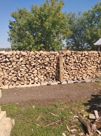 Dry Firewood For Sale