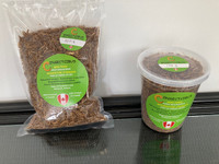 Excellent Quality Mealworms