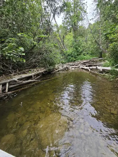 WANTED...I'm looking for a recreational property in the Grey County area along the saugeen river. Pl...