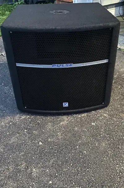 YORKVILLE PULSE PS210P 600WATTSWill be amazed at how this BOOMS, View more