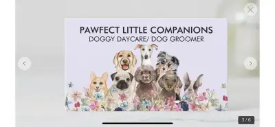 Pawfect Little Companions: Home based Small Puppy and Small Dog Boarding, Daycare, and Grooming. You...