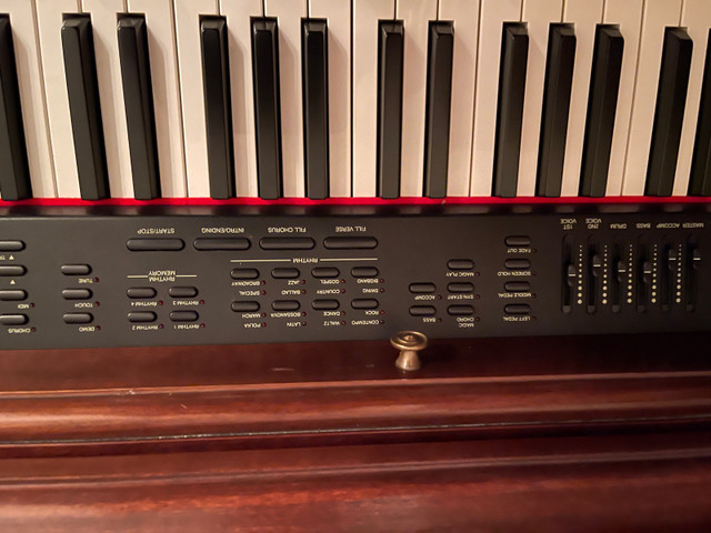 Samick 88 key electronic piano in Pianos & Keyboards in Kingston - Image 4