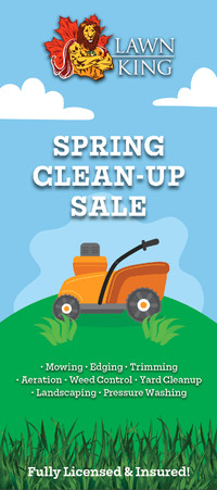 SPRING CLEAN UP FOR $120. Power rake, aeration 