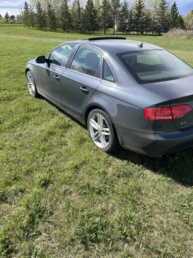2010 Audi A4562911392165406722