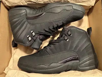 Jordan 12, View more