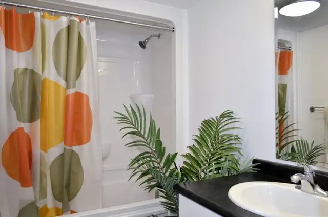 UWaterloo Winter+Spring 2026 Subletting my room on Lester St in Room Rentals & Roommates in Kitchener / Waterloo - Image 3