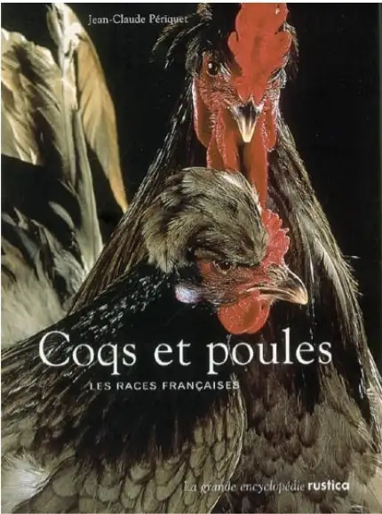 Coqs et poules (LIVRE) in Textbooks in Longueuil / South Shore - Image 2