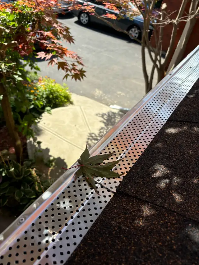 905-965-1687/ Roofing Replace Repair/Eavesdrop Gutter Siding465507951052083203