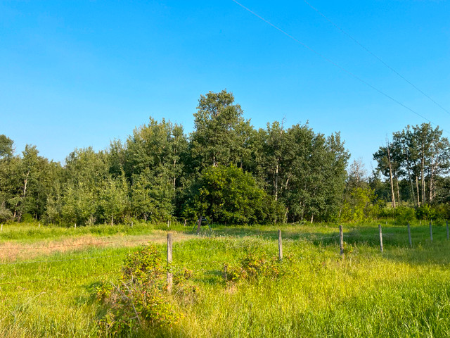 120.92 Acres near Sangudo in Land for Sale in Edmonton - Image 3