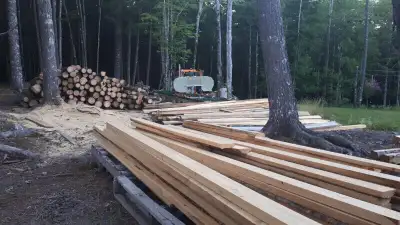 Custom sawmilling services for your building projects, home renovations, furniture, live-edge slabs,...