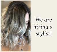 Hairstylist wanted!! Junior or senior, etc.