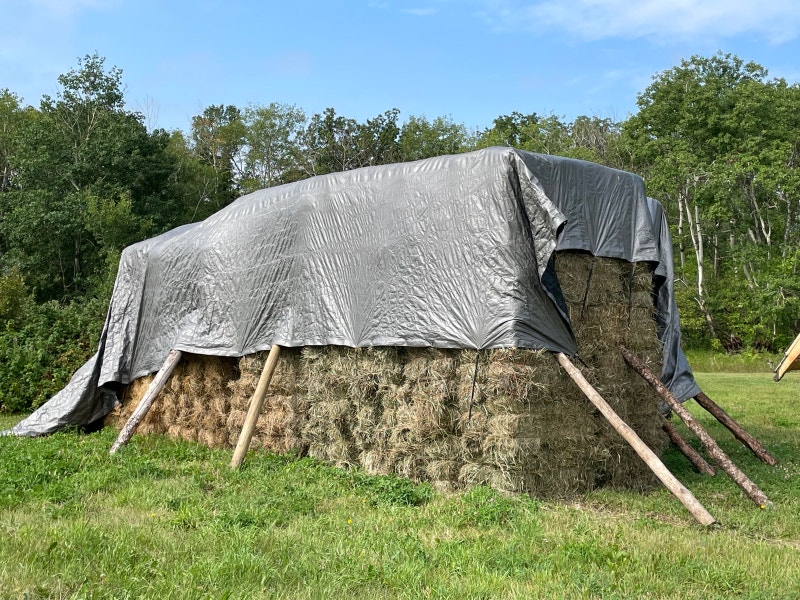 Hay for Sale Livestock Winnipeg Kijiji