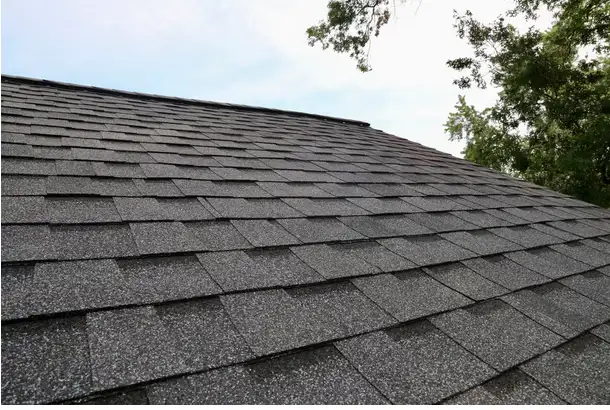 Roof Care - Winnipeg & Rural Service62863249205250123