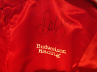 Dale Earnhardt Jr. #8 Autographed