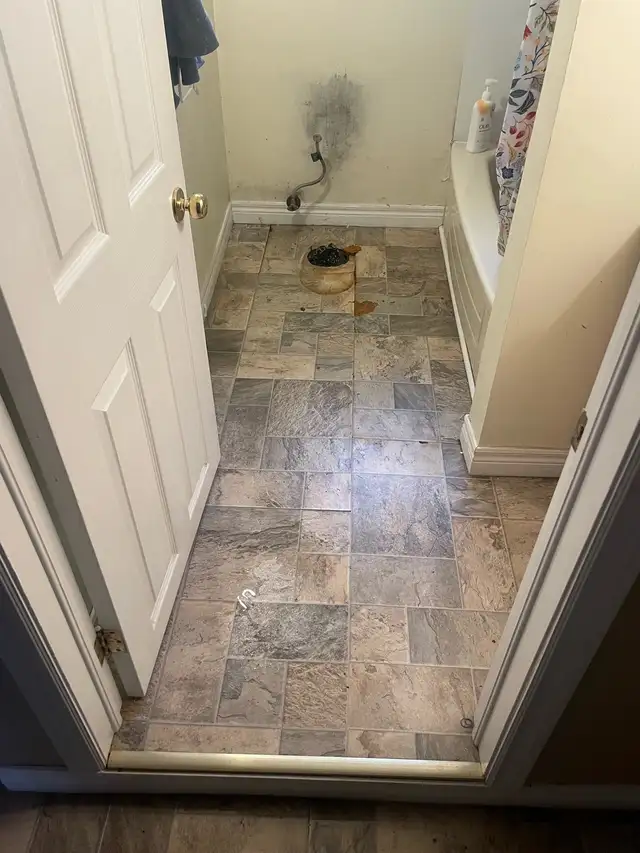 Handyman Services