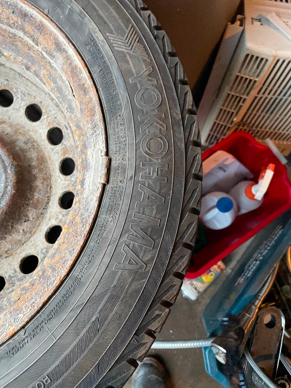 Winter tires on rims. in Tires & Rims in Kingston - Image 2