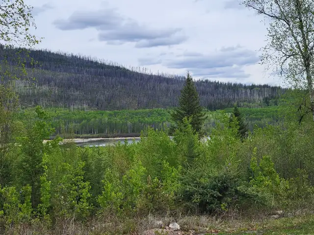 Vacant Land. in Land for Sale in Burns Lake - Image 6