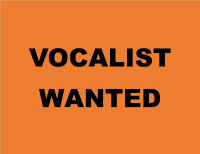 Band Seeks Rock n Roll Vocalist