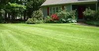 Lawn mowing services / grass cutting in Mississauga/Peel Region