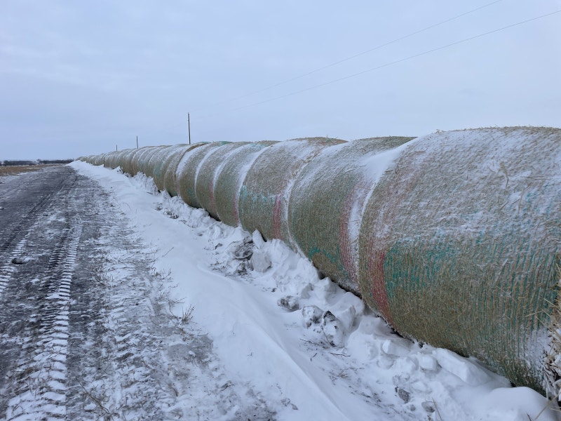 Oat Straw Edberg Farming Equipment Edmonton Kijiji