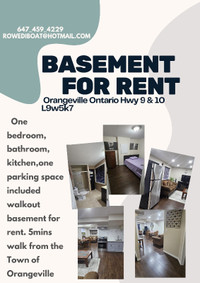 Basement Apartment For Rent