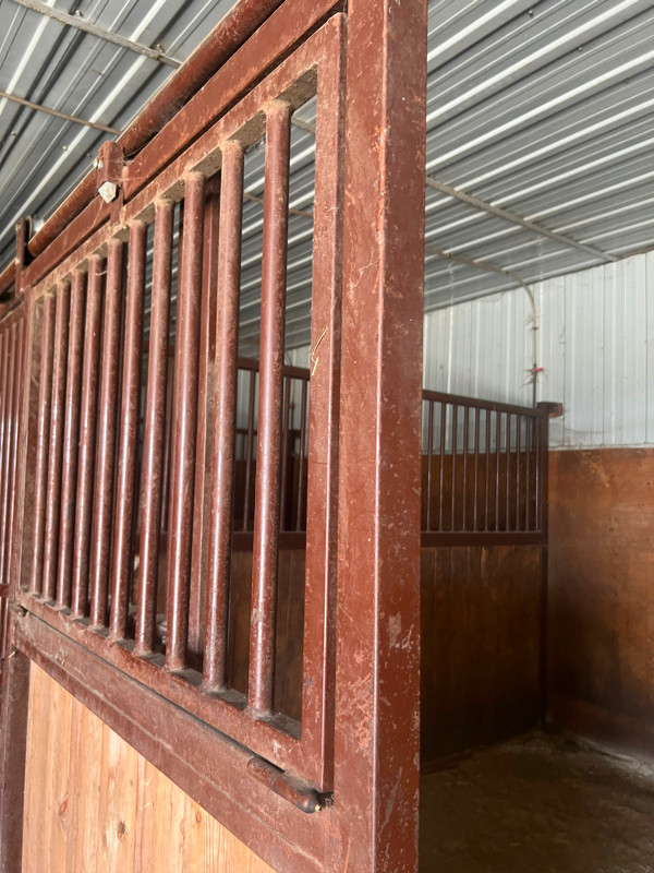 horse stalls 12 horse Stalls in Equestrian & Livestock Accessories in Edmonton - Image 3