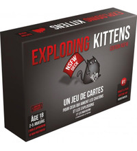 Exploding Kittens: NSFW (Version française) (EKEK02FR