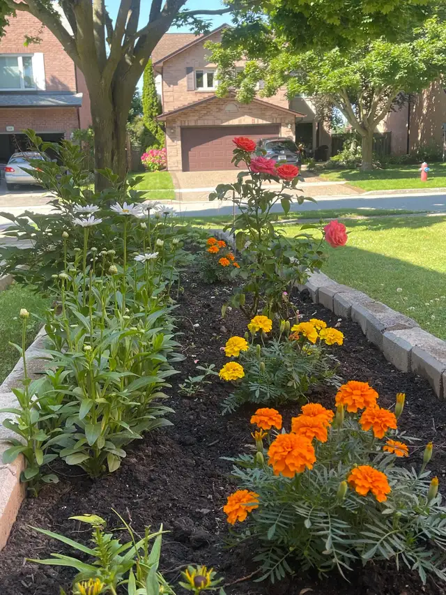 Room for rent Oakville near Sheridan college