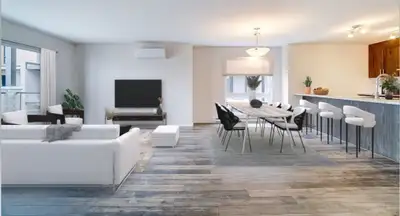 Condo, 2 ROOMS, Sem-Furnished, WIFI, - 5 minutes from Ottawa