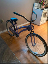 Manhattan Mono Cruiser Bicycle