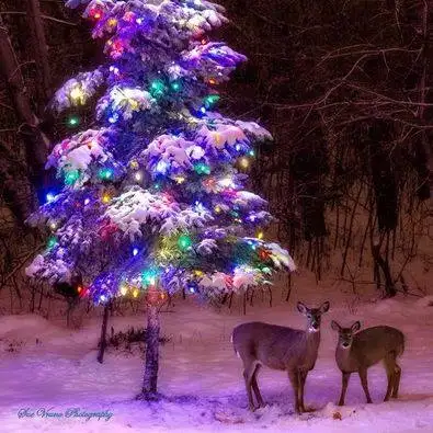 Country Setting - SW of Shelburne - Ontario, View more