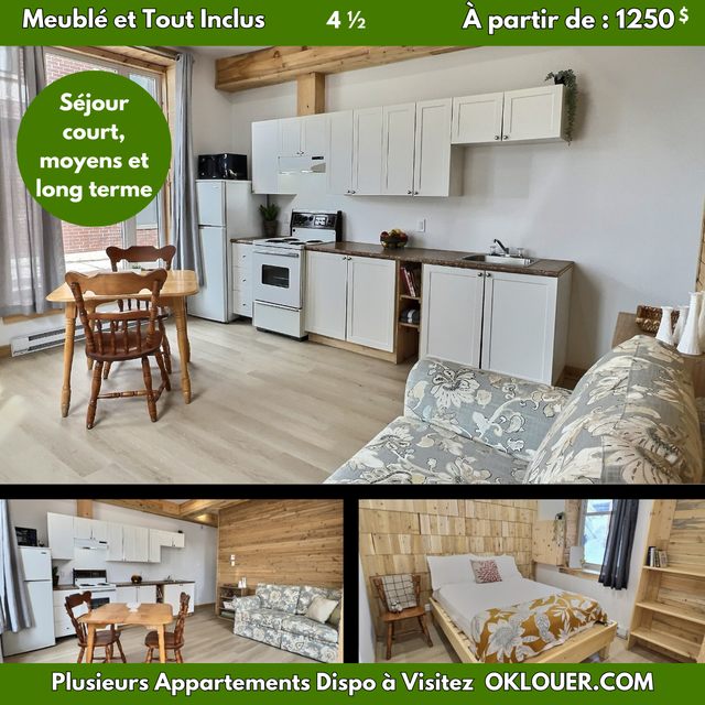 APPARTEMENT MEUBLÉ-TOUT INCLUS 2 CHAMBRES 4 1/2 CENTRE VILLE