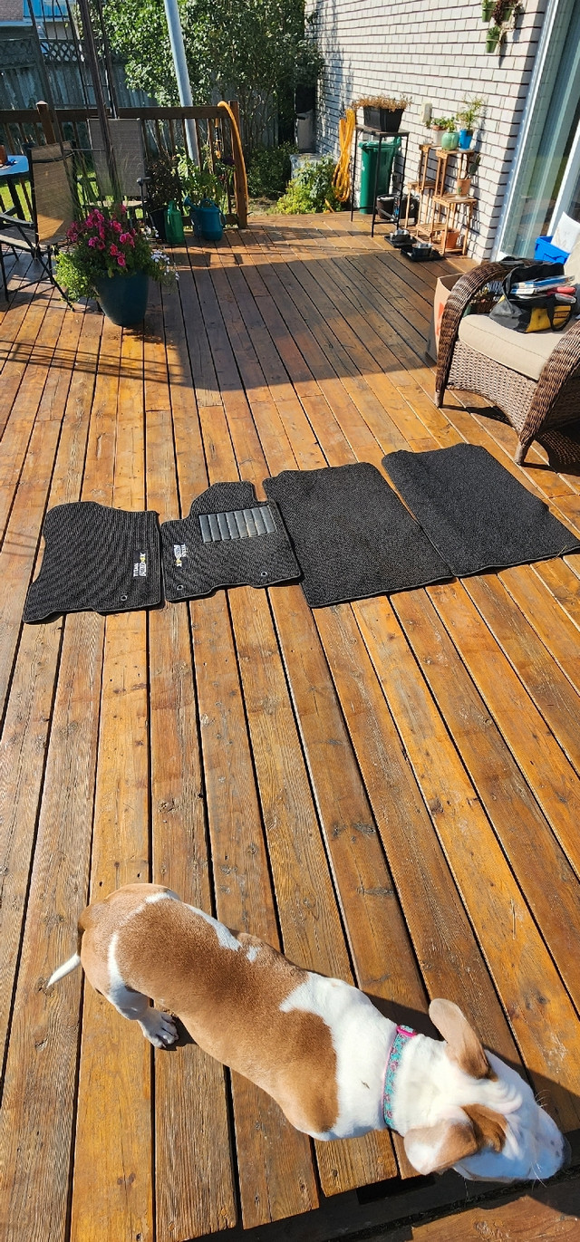 2014 Nissan Titan Pro4x floor mats in Other Parts & Accessories in Sudbury - Image 2