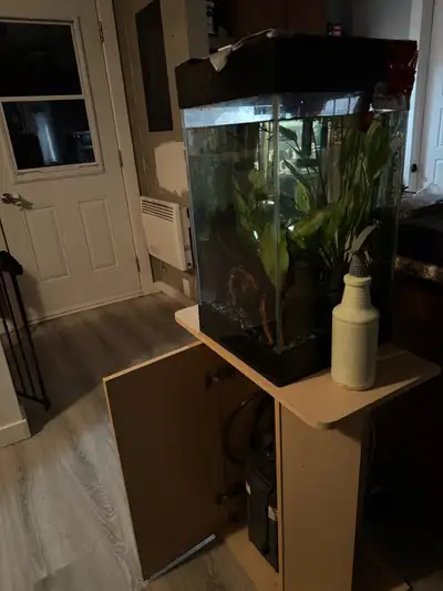 aquarium tout equipé, View more