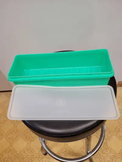 VTG Tupperware Easy Crisp Celery/Vegetable Keeper & Lid #892-1, View more