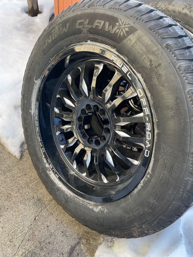 Rims and winter tires in Tires & Rims in Thunder Bay - Image 2
