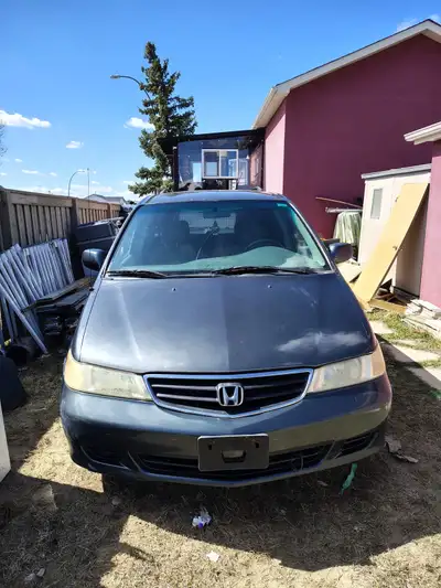 Honda Odyssey Model 2003 Total KMS driven 291979 Automatic Transmission Grey Color Interior and Exte...