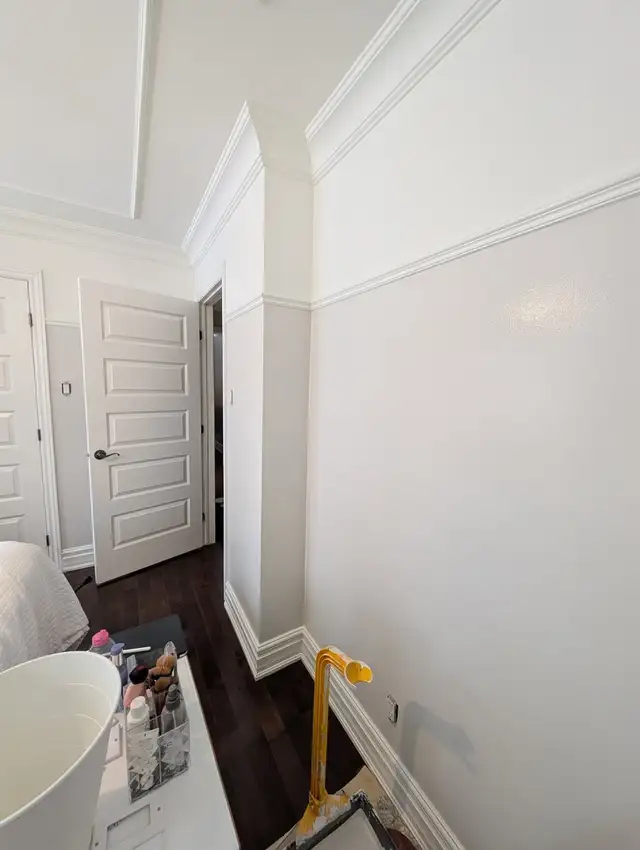 Residential Painter65669459346562122